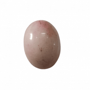 narmadeshwarshiv-jyotishshop