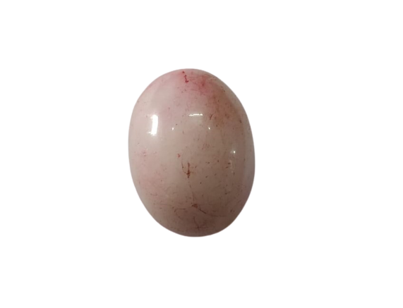 narmadeshwarshiv-jyotishshop