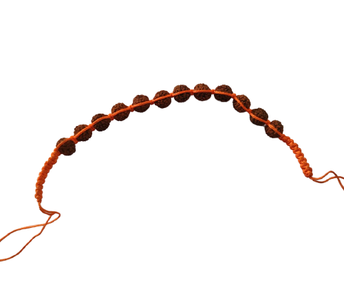 rudrakshbracelet-jyotishshop