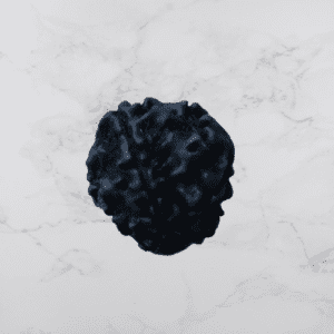 5 Mukhi Black Rudraksha