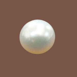 Pearl Gemstone Moti Stone(मोती रत्न) | 8.55 Carats - 12.10 Carats