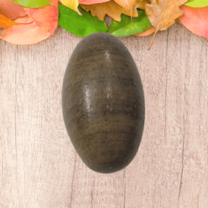 Natural Narmadeshvar Shivling (नर्मदेश्वर शिवलिंग) | Weight 21 gm | Size 35 mm