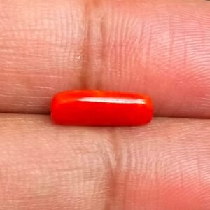 Certified Coral Munga Stone (मूंगा स्टोन), Weight 2.80 carat